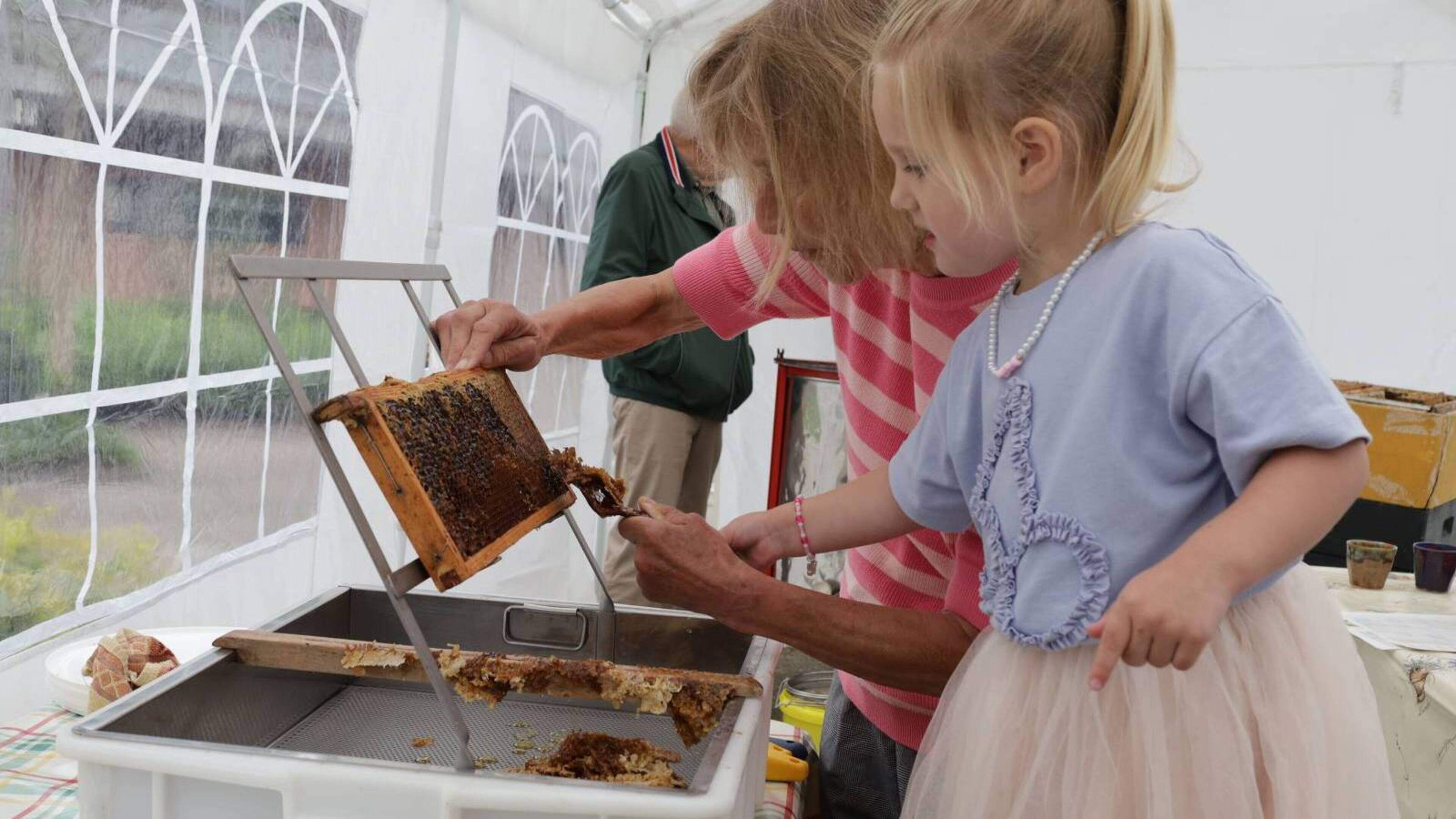 Imkervereniging Ooststellingwerf houdt open dag bij Riemsoord in Appelscha